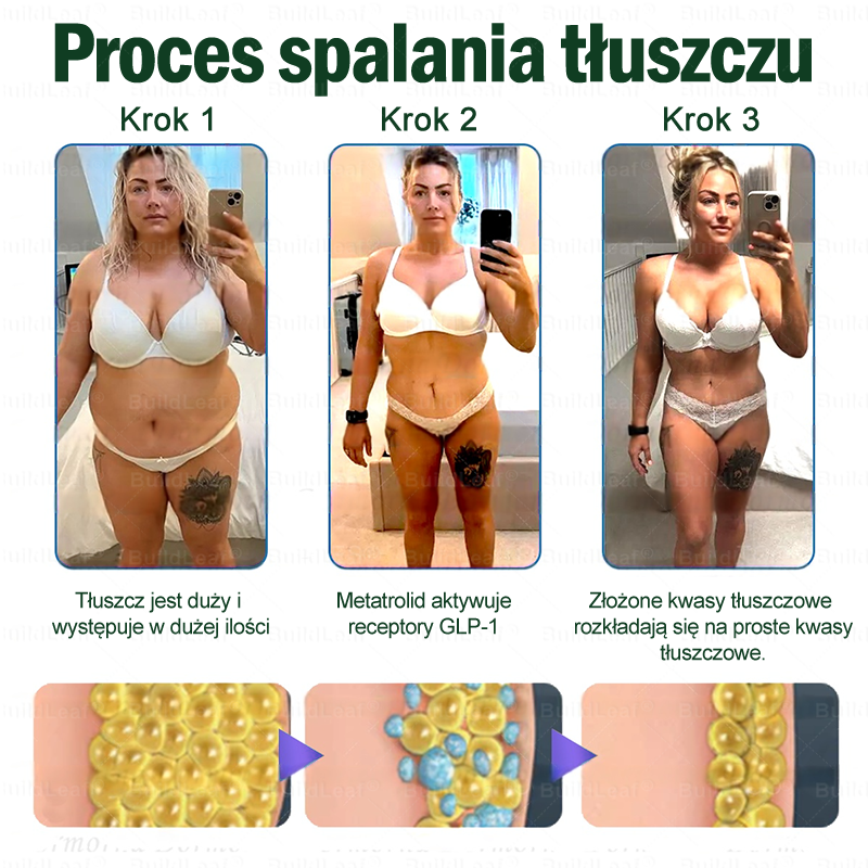 🍃Oficjalny sklep Polska | 🍃BuildLeaf® GLP-1 8-w-1 Fit & Vital Rozwiązanie (Jednorazowe dziennie, widoczne zmiany w ciągu 7 dni) ✅ Otyłość, zdrowie sercowo-naczyniowe, cukrzyca, bezdech senny, zdrowie jelit, problemy ze stawami i inne.